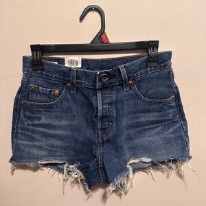 Levi's Distressed Blue Jean Shorts